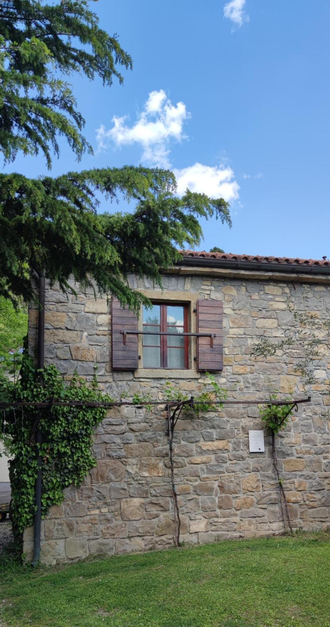 Bordon Wines, Estate With Accommodation Dekani エクステリア 写真